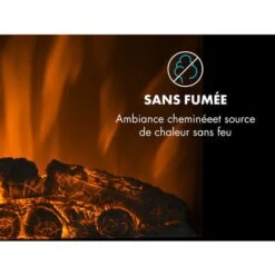 Lausanne Vertical Cheminée électrique 1000 Ou 2000 Watts Verre Télécommande Variateur D'intensité -Chauffe Soldes 12991151 5